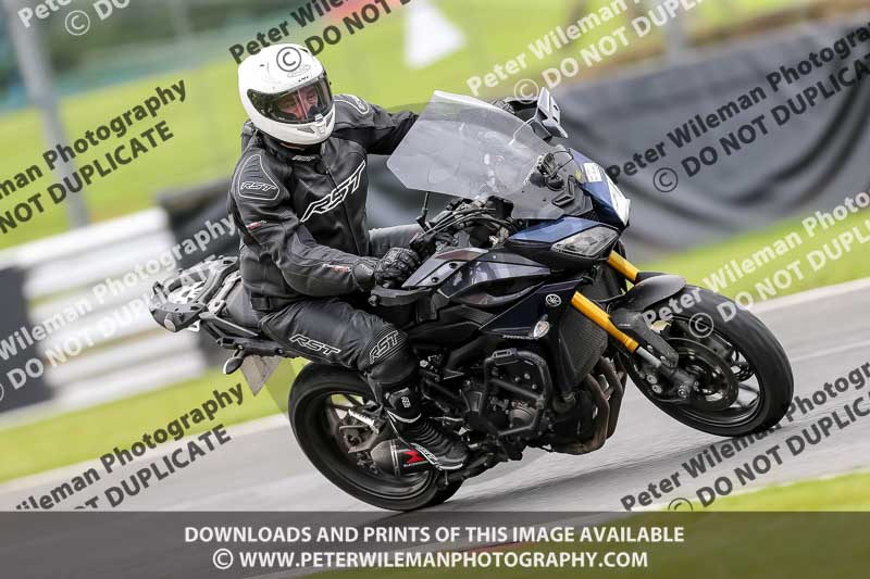 PJ Motorsport 2019;anglesey;brands hatch;cadwell park;croft;donington park;enduro digital images;event digital images;eventdigitalimages;mallory;no limits;oulton park;peter wileman photography;racing digital images;silverstone;snetterton;trackday digital images;trackday photos;vmcc banbury run;welsh 2 day enduro